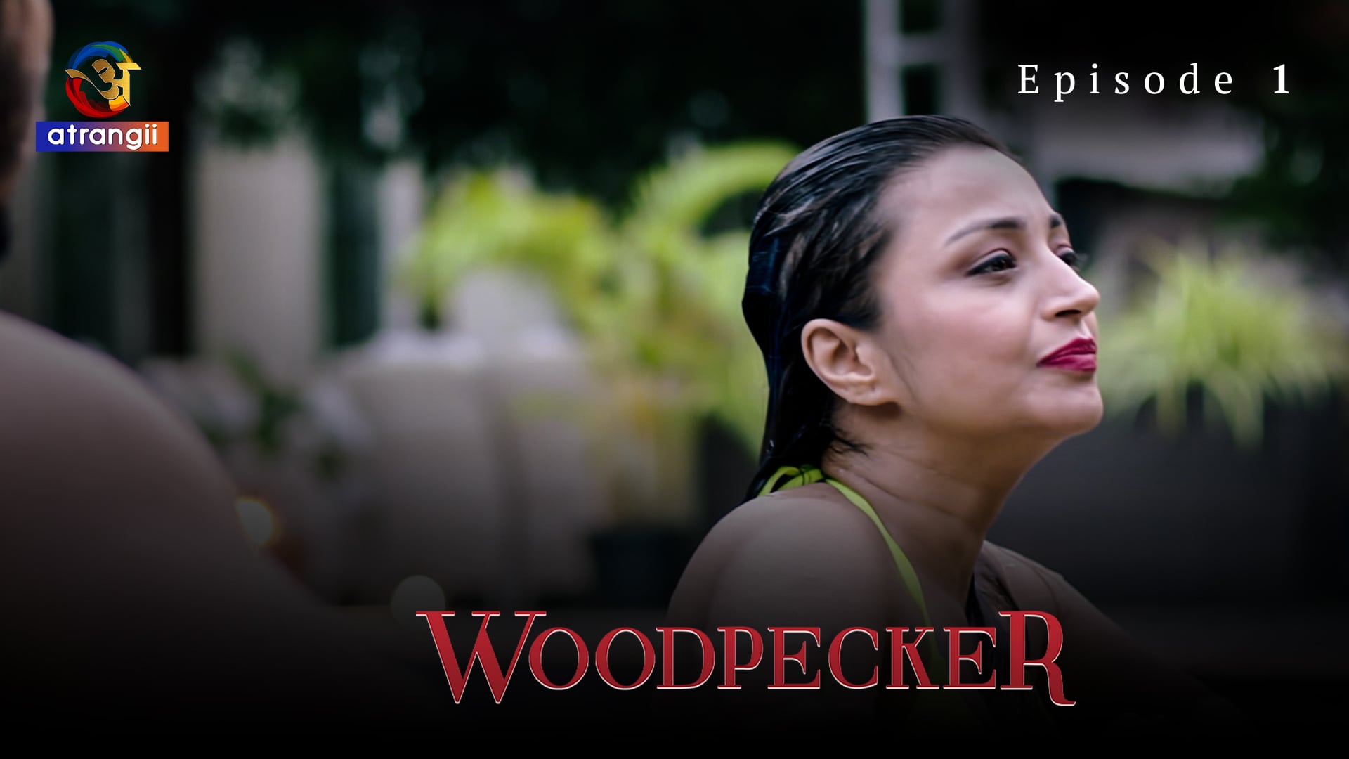 Webseries Woodpecker Full Episodes Mx Player Indian Web Series